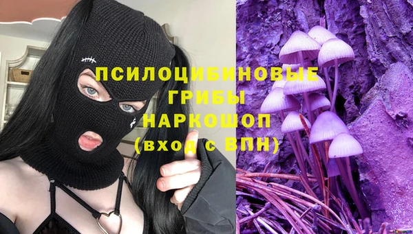 каннабис Аркадак