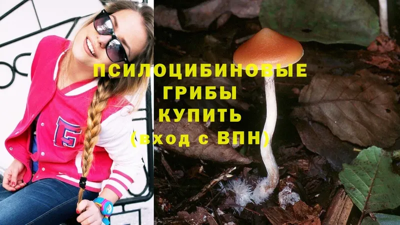 Галлюциногенные грибы Psilocybe  Белинский 